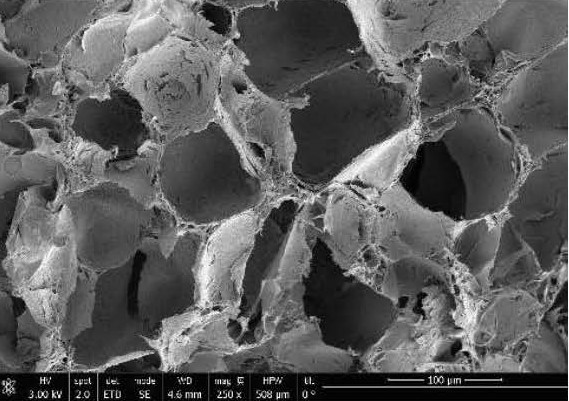 Development of PLGA-PEDOT mixed polymeric scaffolds and their impregnation with natural extracts using supercritical CO2