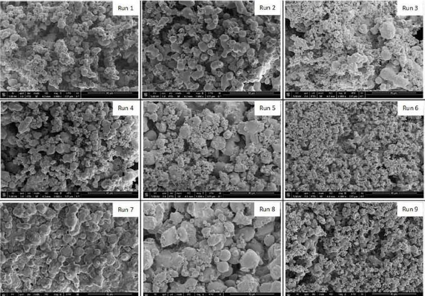 Co-precipitation of grape residue extract using sub- and supercritical CO2 technology