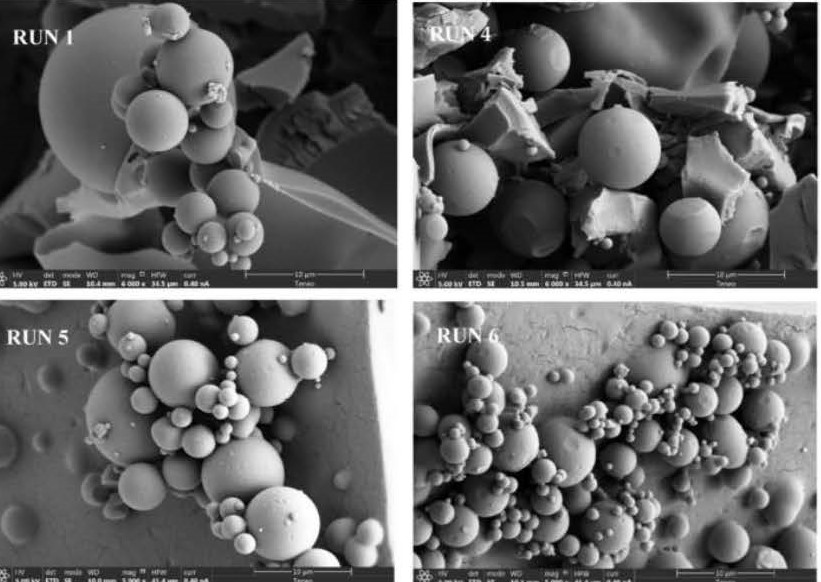 Generation of Spherical Microparticles of Moringa Leaves through a Supercritical Antisolvent Extraction Process